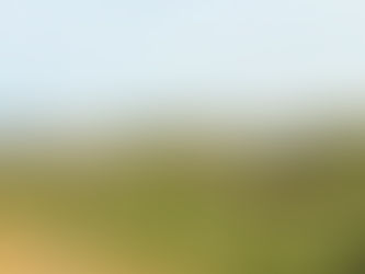 Devoción a caballo: Gauchos entronizaron a la Virgen de Guadalupe en el Cerro Bola