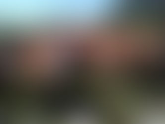 Estudian el uso de coproductos para optimizar la producción bovina en el Sur de Mendoza