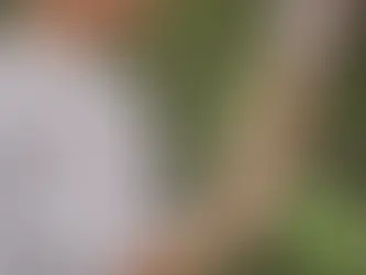 SOLO HAY CUATRO FAMILIAS TEMPORARIAS PARA RECIBIR A BEBÉS Y NIÑOS EN EL SUR MENDOCINO