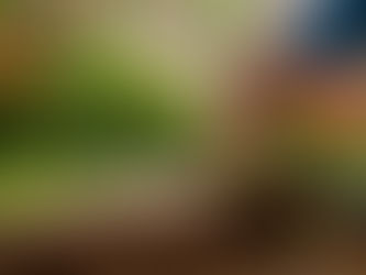 Sembrando Futuro: Sanrafaelinos Aprenderán a Producir sus Propias Semillas para huerta