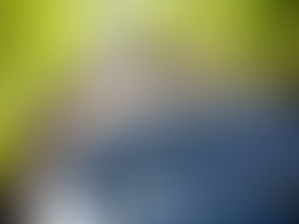 El vino en jaque: productores locales hablan de una crisis histórica