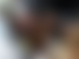 Apicultura en expansión: San Rafael impulsa el desarrollo más allá de la miel