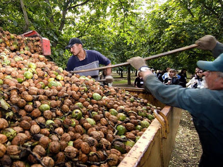 SAN RAFAEL SERÁ SEDE DEL PRIMER CONGRESO DE FRUTOS SECOS DEL OASIS SUR