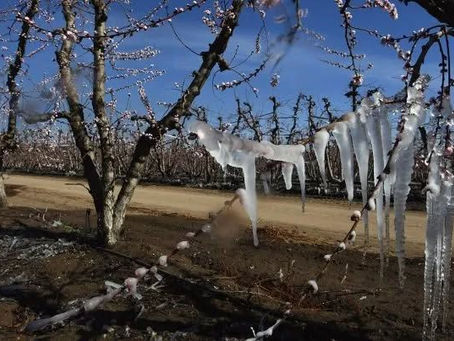 San Rafael a 15 bajo cero: el invierno se ensañó con los distritos