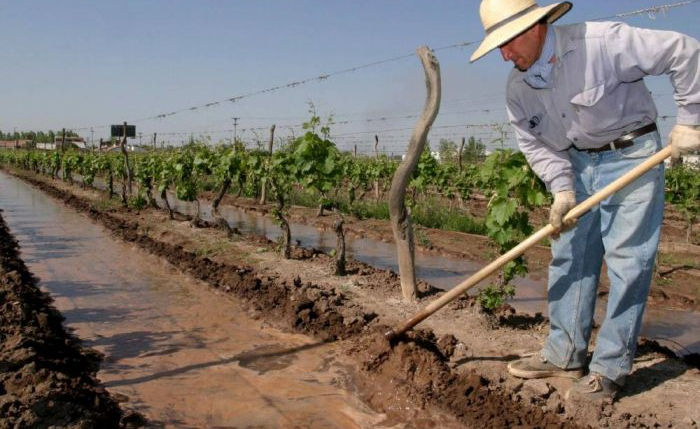 EL SUR MENDOCINO CONCENTRA MÁS DEL 70% DEL FONDO COMPENSADOR AGRÍCOLA
