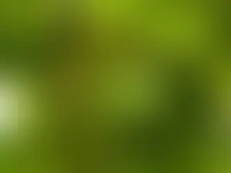 Detectan casos de peronospora en el Sur Mendocino