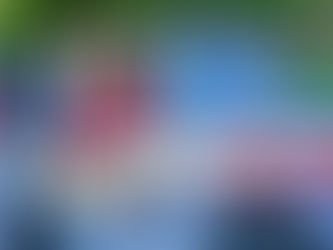 Los chicos del Hogar San Martín de Tours pasearon en los autos del Club IKA