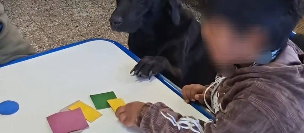 PATITAS, LA COMPAÑERA ESPECIAL QUE ENSEÑA VALORES EN UN JARDÍN DE CAÑADA SECA