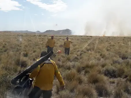 Fuego en las alturas: el Cerro Nevado arde sin tregua