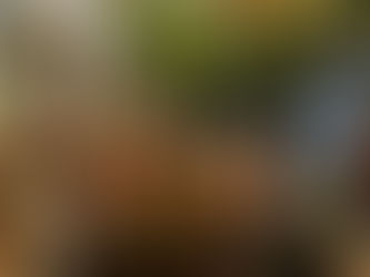 Más de 16 mil argentinos se mudaron a San Rafael en 10 años