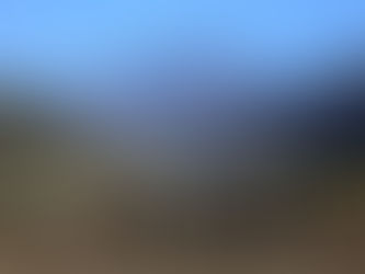 Caravana en defensa de la "trashumancia ancestral"