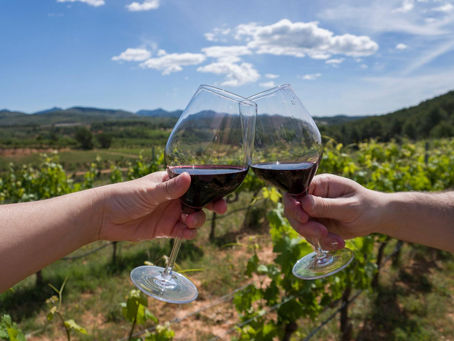 La prestigiosa revista Forbes elogió los vinos de San Rafael