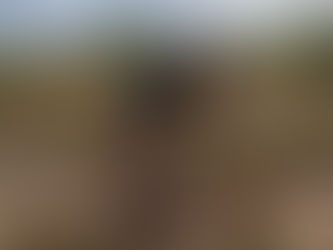 Día Mundial del Suelo: INTA refuerza el impulso a la agricultura regenerativa