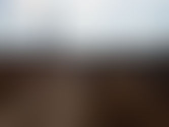 Quieren reactivar campos del sur con una ley para cancelar hipotecas viejas