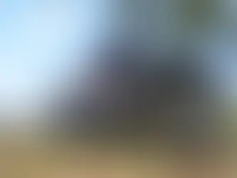 Llega a San Rafael una casa rodante que enseña a reconectar con la naturaleza