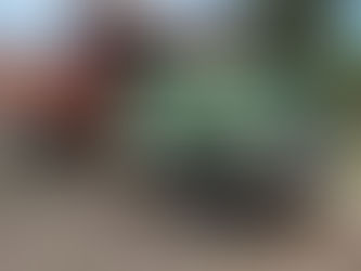 Un Camión International de 1946 Renace en San Rafael Tras Su Restauración