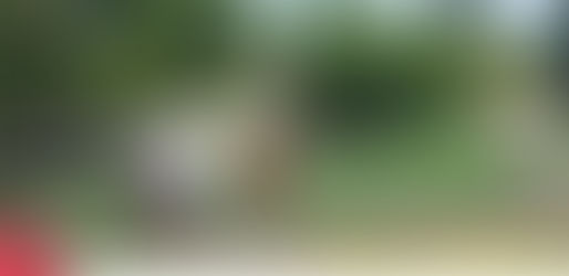 Un gol por la inclusión: la Escuela Gicolini busca ayuda para completar su cancha de fútbol