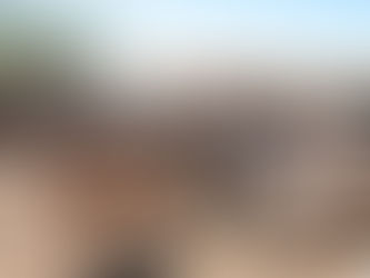 Alerta por nevadas: piden reunir al ganado en zonas de montaña y secano