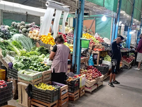 En el sur mendocino se refuerza el control contra la Mosca del Mediterráneo