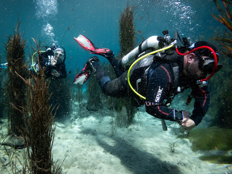 Buceo en altura: La nueva vedette que tiene a San Rafael como el principal eje en Mendoza