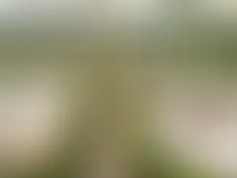 ¿Y si estalla la Tercera Guerra Mundial? Lo que podría pasar en San Rafael, según la IA