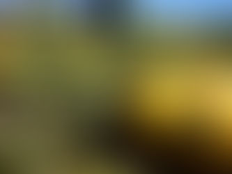 San Rafael y Alvear concentran la mayoría de adhesiones al seguro agrícola en Mendoza