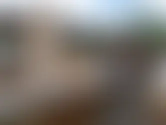 FALLO HISTÓRICO EN MENDOZA: PRISIÓN EFECTIVA PARA DOS SANRAFAELINOS POR FAENA CLANDESTINA DE CABALLOS