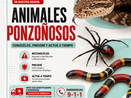 ALERTA EN SAN RAFAEL POR ANIMALES PONZOÑOSOS: CLAVES PARA PREVENIR Y ACTUAR A TIEMPO