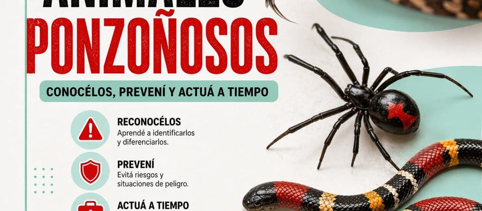 ALERTA EN SAN RAFAEL POR ANIMALES PONZOÑOSOS: CLAVES PARA PREVENIR Y ACTUAR A TIEMPO