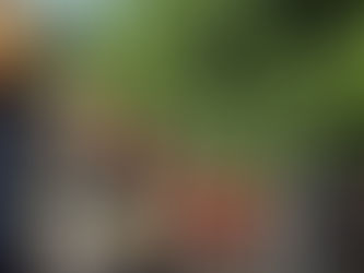 Casi el 20% de la producción de durazno industrial se centra en San Rafael y Alvear