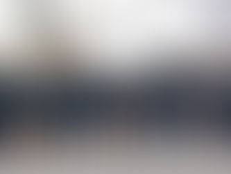 San Rafael cuenta con el segundo cuerpo de canes más grande de Mendoza