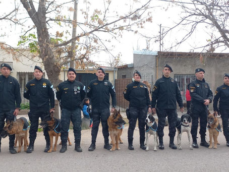 San Rafael cuenta con el segundo cuerpo de canes más grande de Mendoza