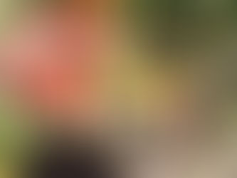 San Rafael será sede de una jornada sobre cultivo de tomate con bioinsumos