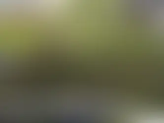 El INTA Rama Caída lanza una liquidación de plantines para fortalecer las huertas familiares