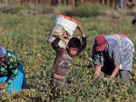 Trabajo infantil en el sur mendocino: una charla para abrir los ojos y el debate
