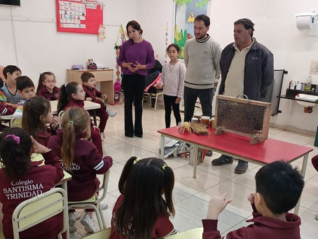 APISUR cumple 39 años: proteger a las abejas es proteger la vida