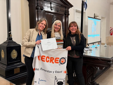 Un “mimo al alma” para Al Recreo: reconocidos en la Legislatura