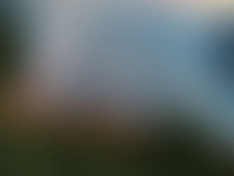 Humo de los incendios en la Patagonia llegó a San Rafael y Alvear