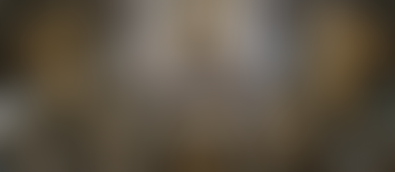 אמצעי הגנה למעקב בתאורה חלשה: קטדרלת "מגנה כרטה" בת 800 שנה בסליסברי