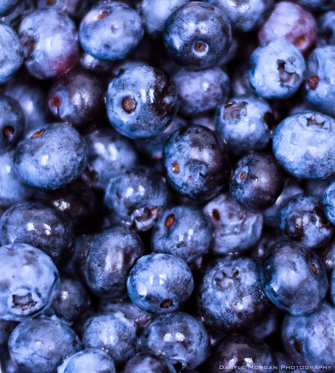 Blueberries