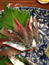 今日のオススメ！