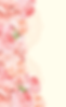 各ページTOP左.png