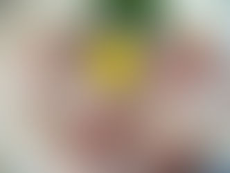 今日のオススメ!