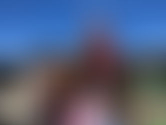 デイリーニュースで紹介されました