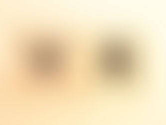 VR画像を作成します
