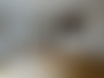 堺市西区堀上緑町1丁｜新築戸建て