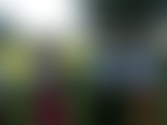 The WFWP India Chairperson leads One Million Tree of Peace Campaign in Kashmir