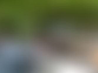 WFWP Italy “Family Festival”