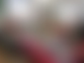 WFWP Austria - “Mother and Mission” Coffee Meeting, Sunday 6th April 2014