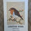 Thumbnail: A4 Print - European Robin & Berries Countryside Wildlife Design 
